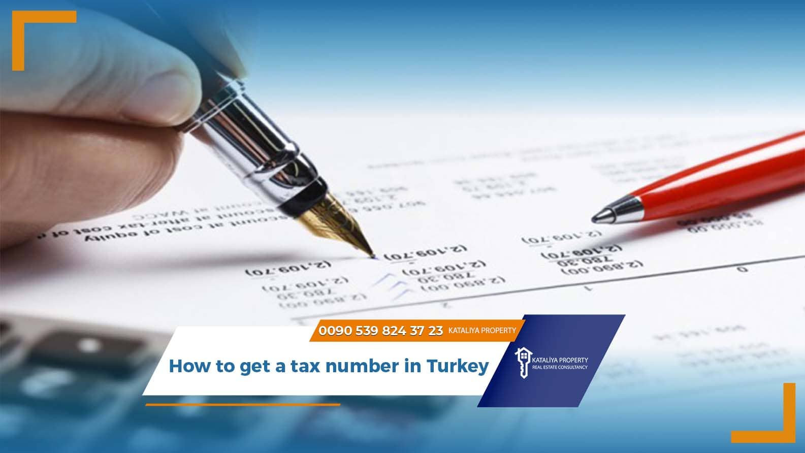 How to get a tax number in Turkey